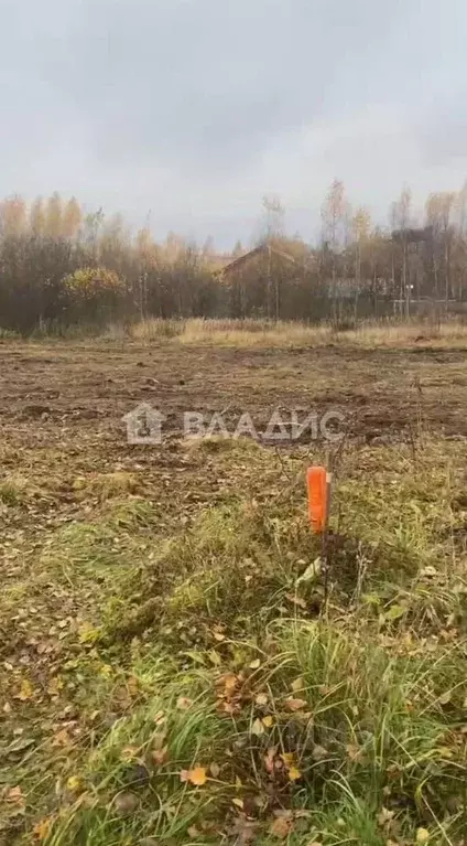 Участок в Московская область, Электросталь городской округ, д. Есино ... - Фото 1