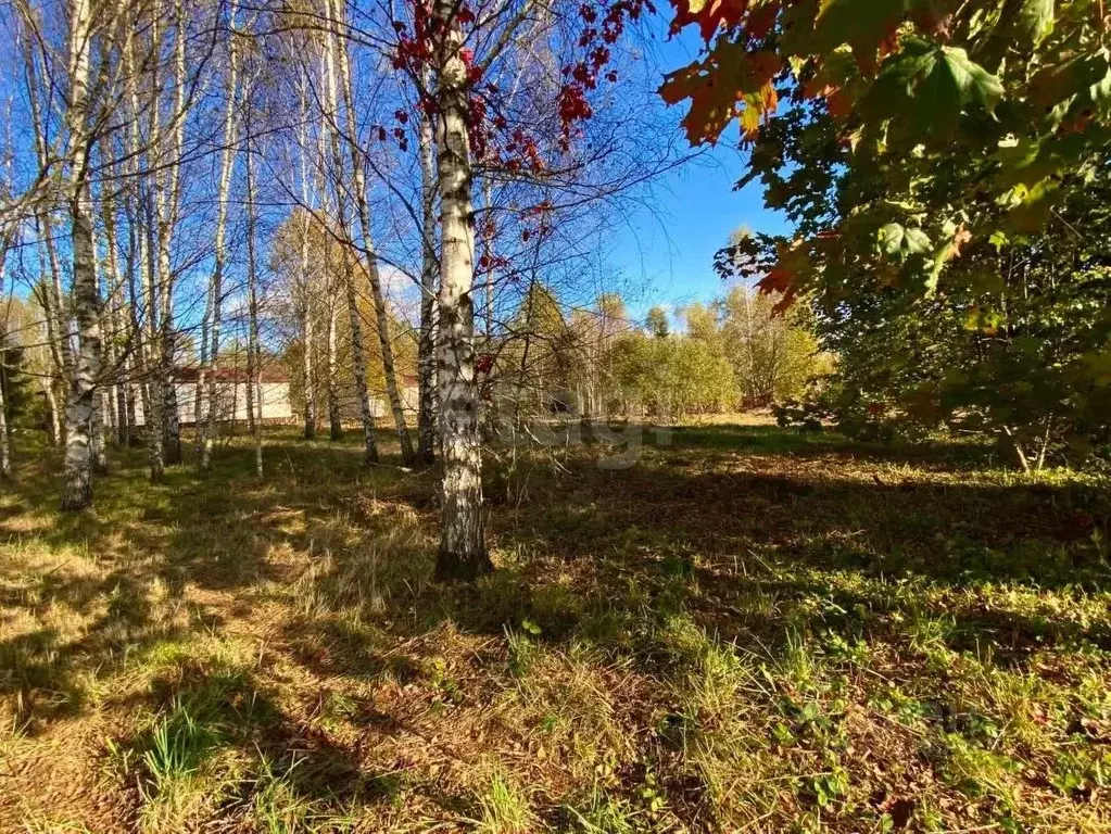 Участок в Московская область, Дмитровский муниципальный округ, д. ... - Фото 1