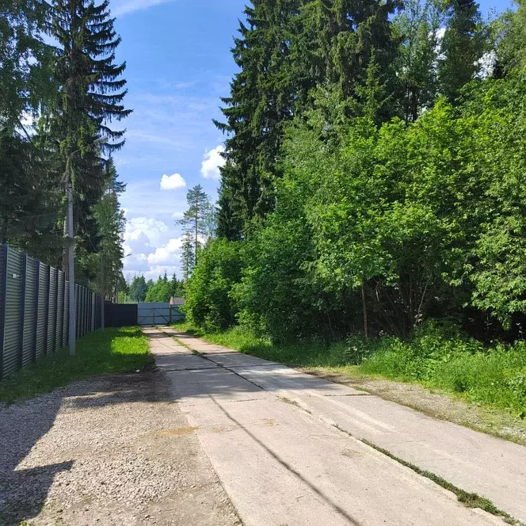 Участок в Московская область, Одинцовский городской округ, д. Сивково, ... - Фото 0