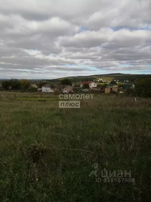 Участок в Краснодарский край, Анапа муниципальный округ, Куток хут. ... - Фото 0