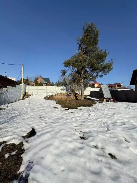 Участок в Московская область, Солнечногорск городской округ, Маяк СНТ ... - Фото 2