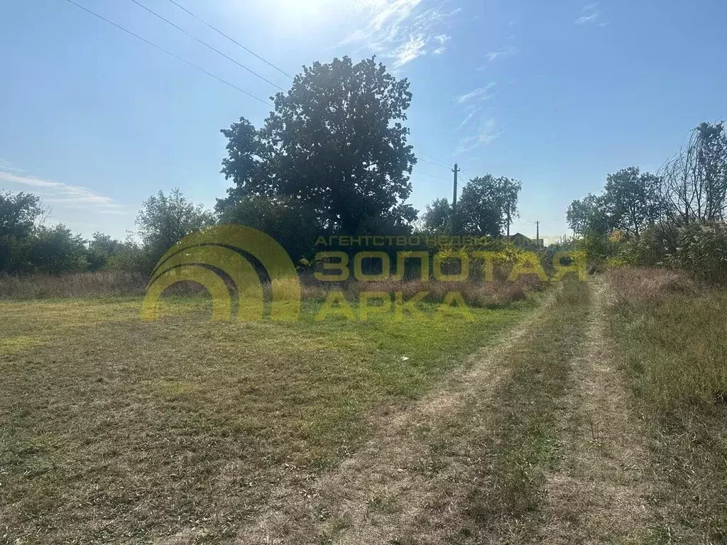 Участок в Краснодарский край, Красноармейский район, Полтавская ст-ца ... - Фото 2