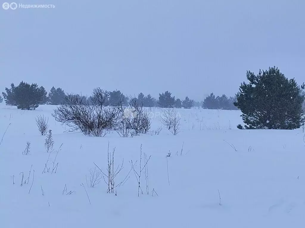 Участок в село Фирсово, микрорайон Рощино, улица Пушкина (8.15 м) - Фото 0