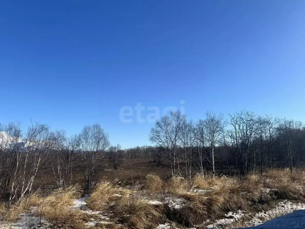 Участок в Камчатский край, Елизово  (99.2 сот.) - Фото 1