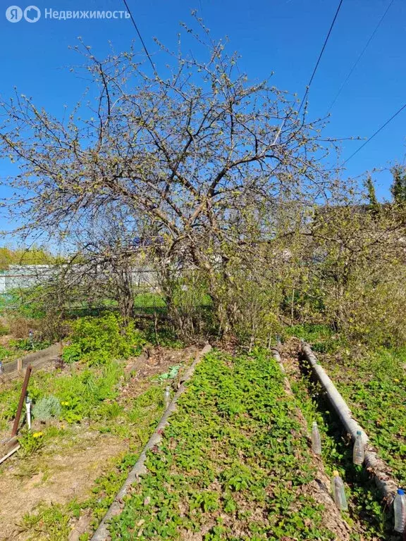 Участок в Екатеринбург, СНТ Академстрой (6.36 м) - Фото 1