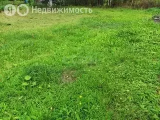 Участок в Ярославский муниципальный округ, СНТ Берёзка-3 (10 м) - Фото 0