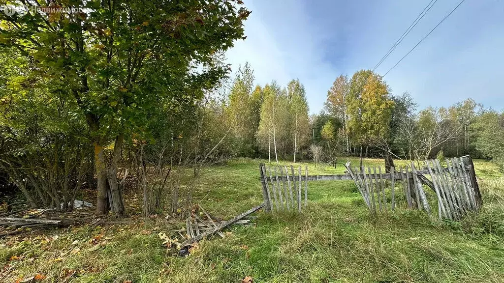 Участок в Нижегородская область, Бор (9 м) - Фото 2