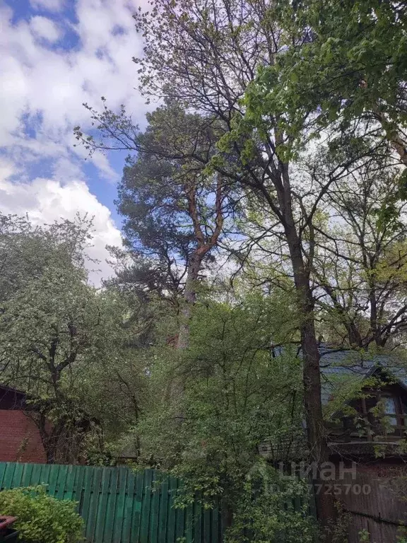 Участок в Московская область, Одинцовский городской округ, пос. ... - Фото 1