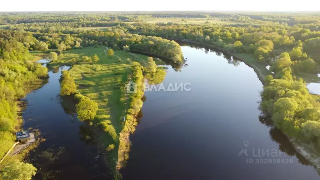 Участок в Владимирская область, Судогодский район, Лавровское ... - Фото 1