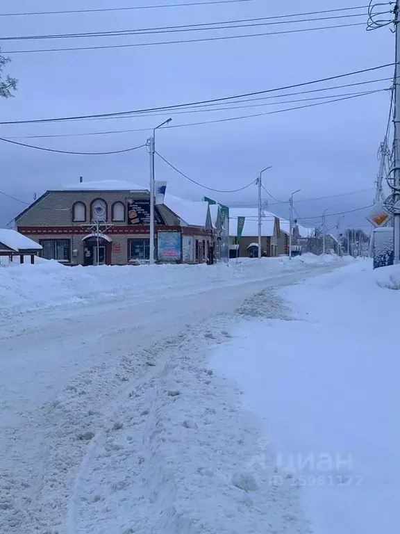 Торговая площадь в Ульяновская область, Кузоватово рп ул. Карла ... - Фото 1