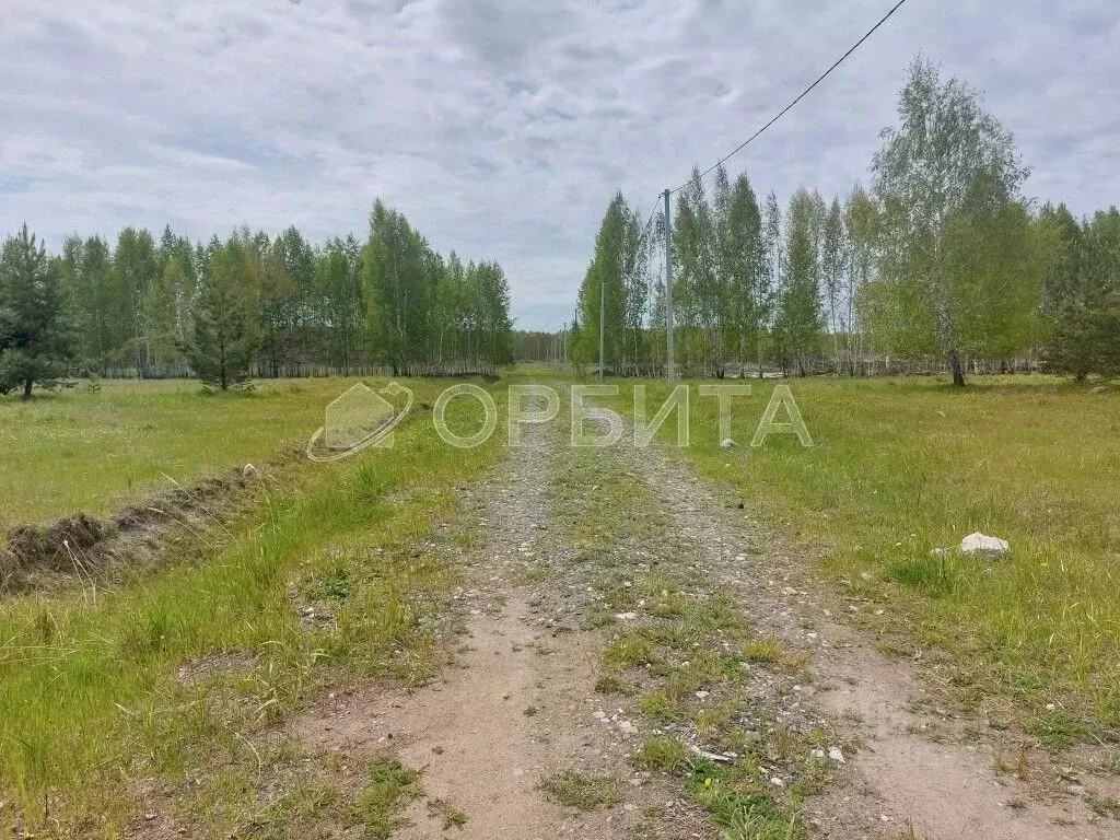 Участок в Тюменская область, Нижнетавдинский муниципальный округ, ... - Фото 2