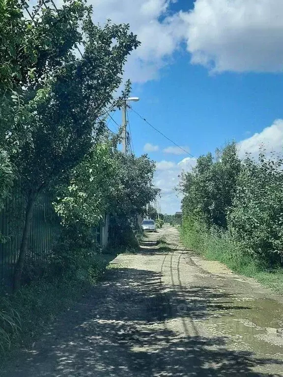 Участок в Воронежская область, Новоусманский район, Усманское 1-е ... - Фото 0