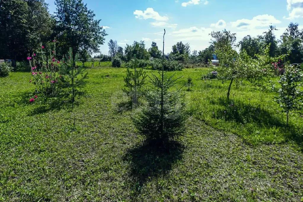 Дом в Вологодская область, д. Цыпоглазово  (12 м) - Фото 0