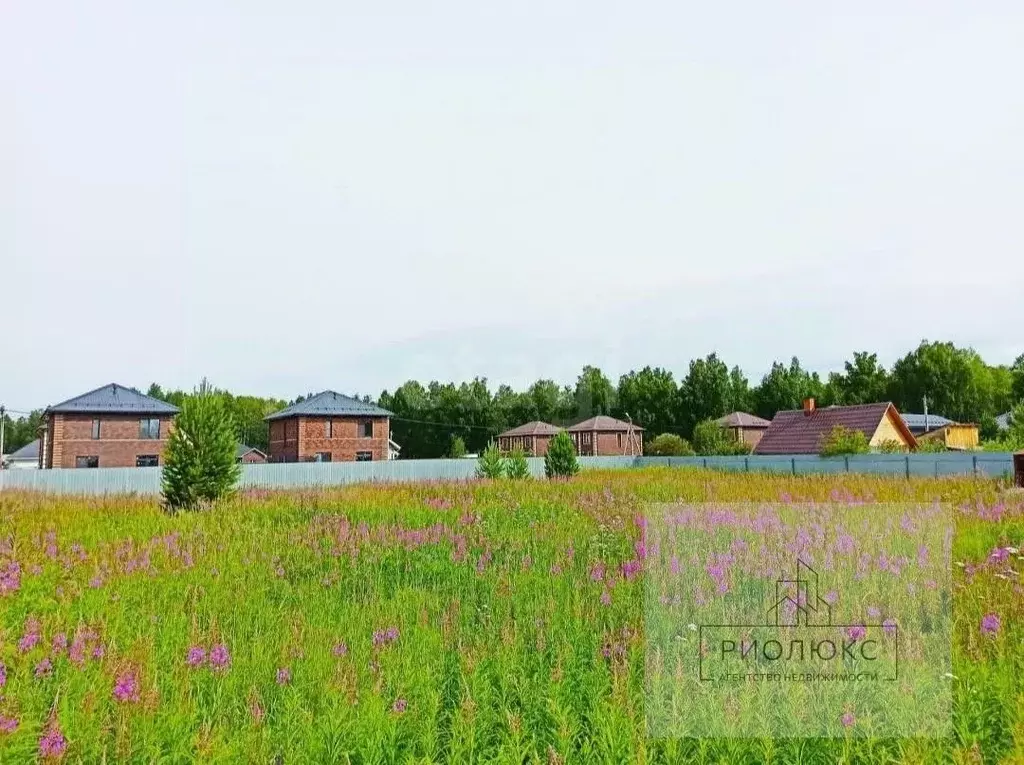 Участок в Тюменская область, Тюменский район, с. Перевалово, Лесная ... - Фото 2
