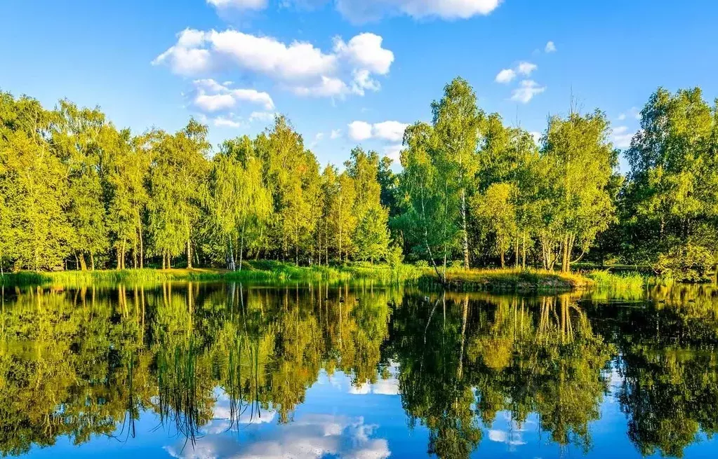 Участок в Москва Таманская ул. (40.0 сот.) - Фото 1