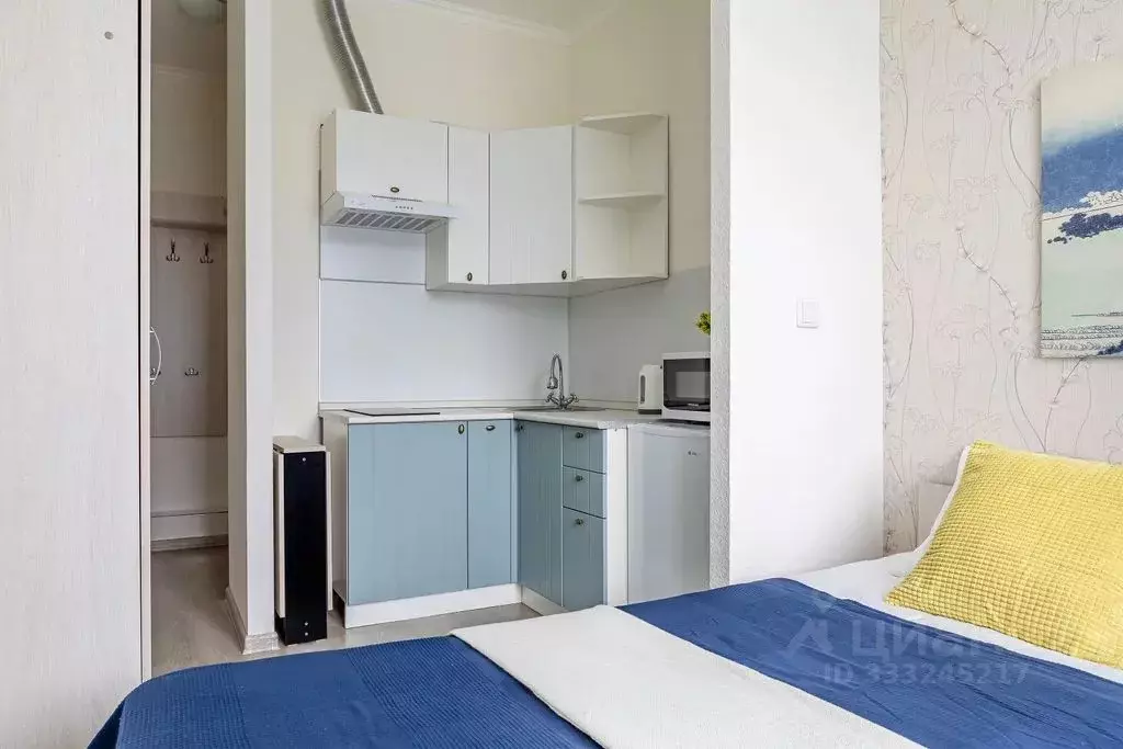 Студия Москва пос. Внуково, ул. Спортивная, 4Б (19.0 м) - Фото 2