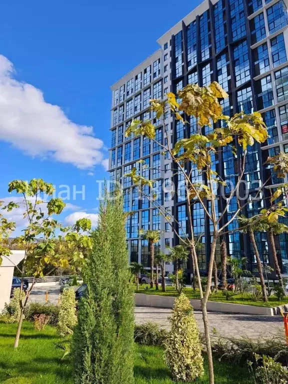 Студия Краснодарский край, Сочи Бытха мкр, ул. Ясногорская, 16/8к3 ... - Фото 2