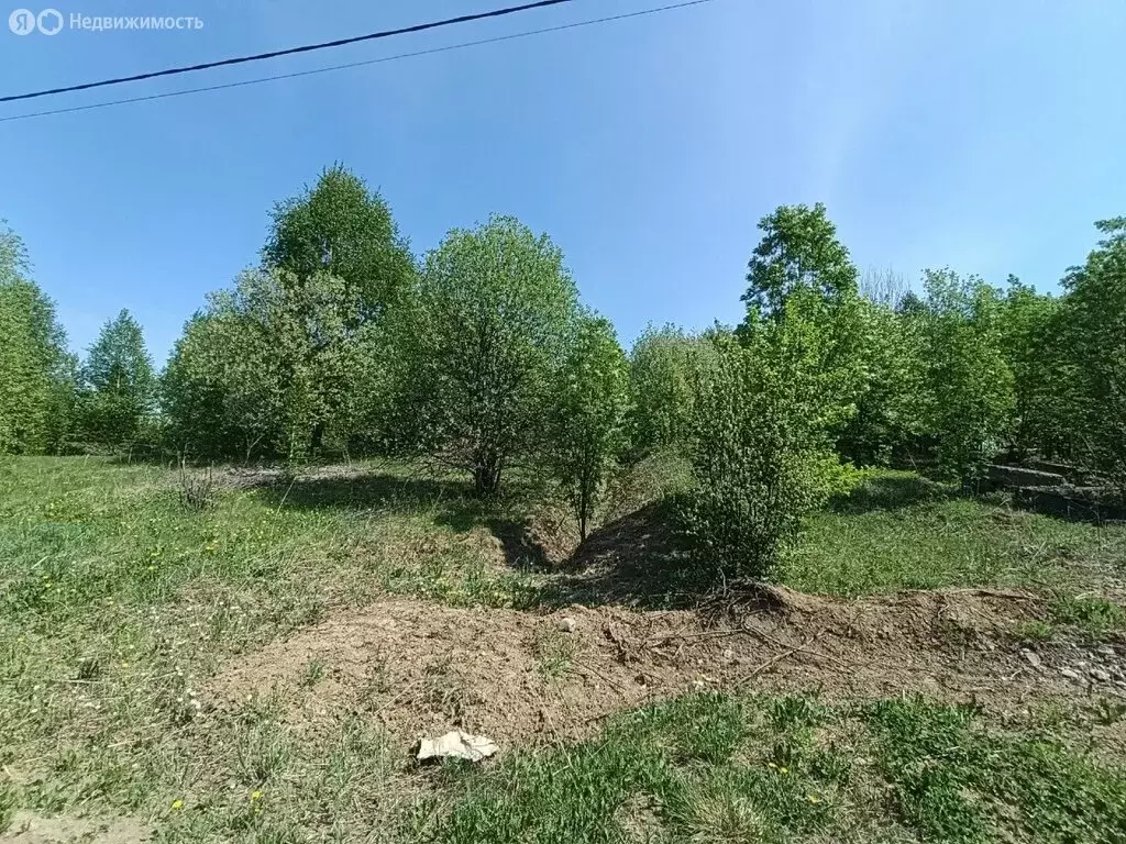 Участок в Лысьва, улица Баратынского, 50 (12 м) - Фото 1