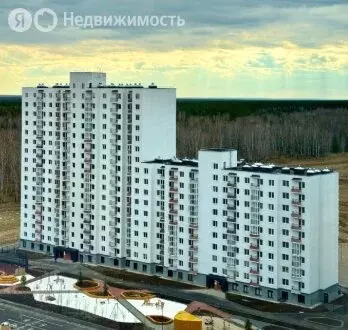 Квартира-студия: Патрушева, улица Николая Гоголя, 9 (20.2 м) - Фото 0