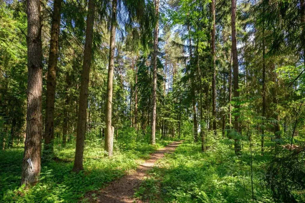 Участок в Московская область, Истра городской округ, д. Чесноково, ... - Фото 0