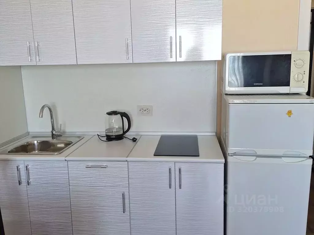 Студия Санкт-Петербург ул. Пейзажная, 30 (30.0 м) - Фото 1