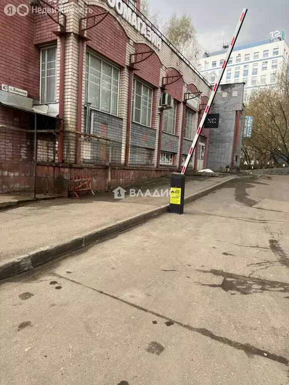 Помещение свободного назначения (40.9 м) - Фото 1