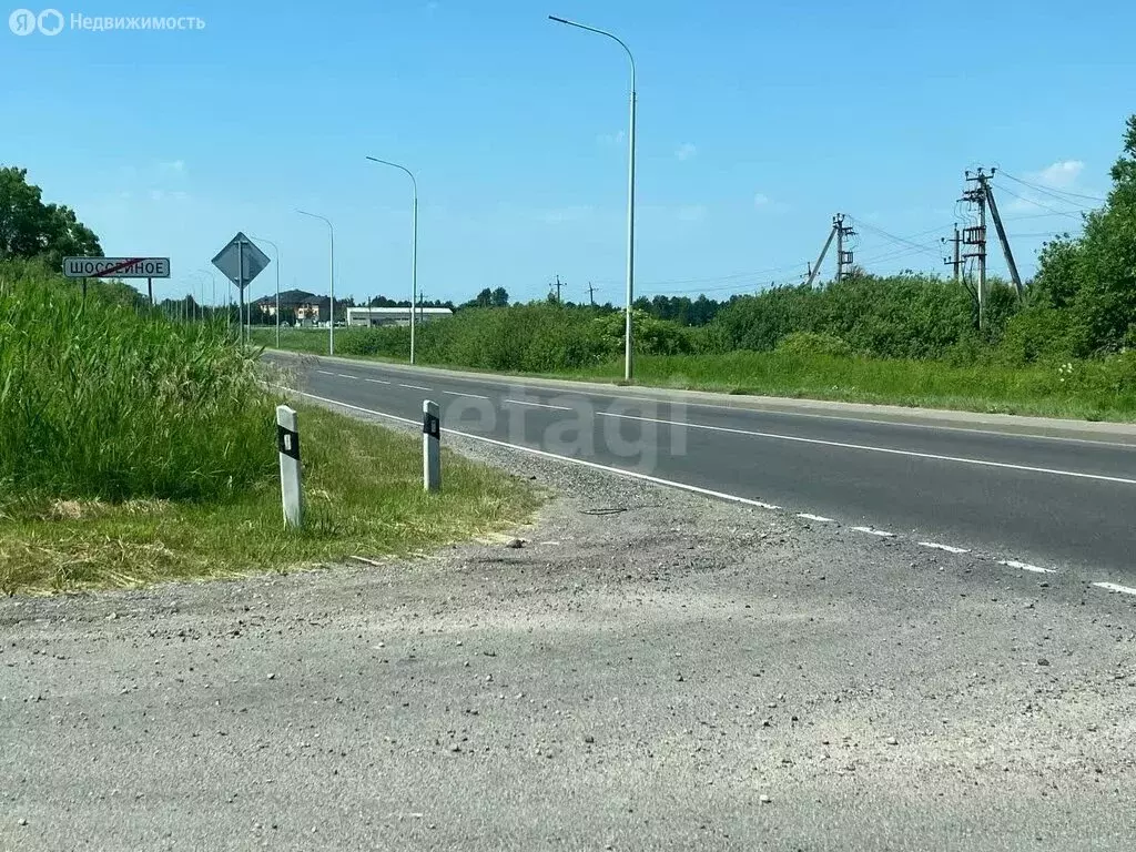 Участок в Калининградская область, Гурьевский муниципальный округ, СНТ ... - Фото 1