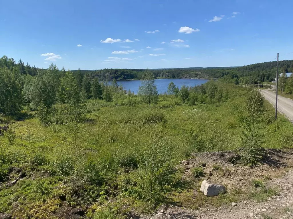 Участок в Мурманская область, Печенгский муниципальный округ, ... - Фото 1