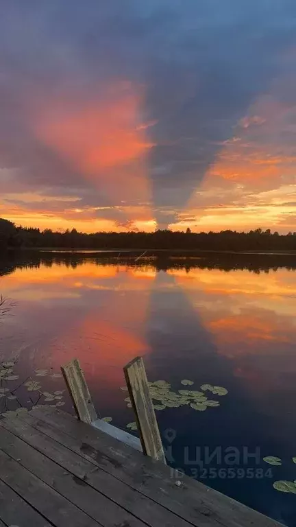 Участок в Новгородская область, Крестецкий муниципальный округ, д. ... - Фото 1