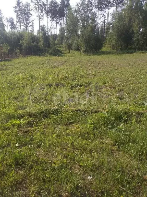 Участок 9,1 сот. (СНТ, ДНП) - Фото 0