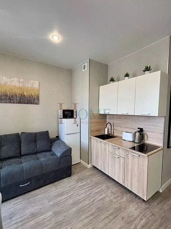 Студия Новосибирская область, Новосибирск ул. Фрунзе, 220 (30.0 м) - Фото 1