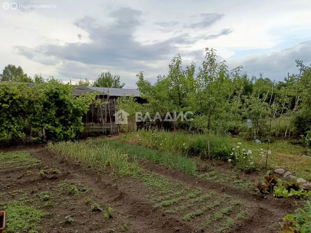 Дом в Калининградская область, Багратионовский муниципальный округ, ... - Фото 1