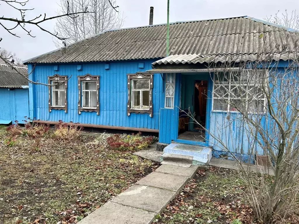 Дом в Воронежская область, Хохольское городское поселение  (30 м) - Фото 1