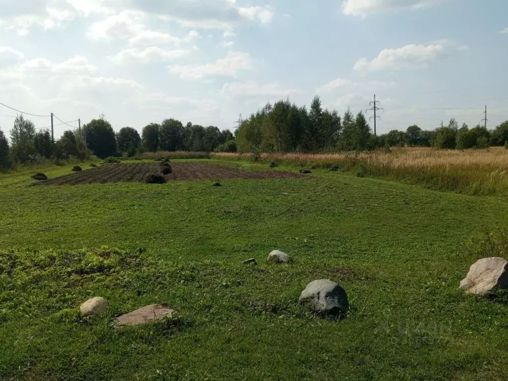 Участок в Владимирская область, Александровский район, Андреевское ... - Фото 0