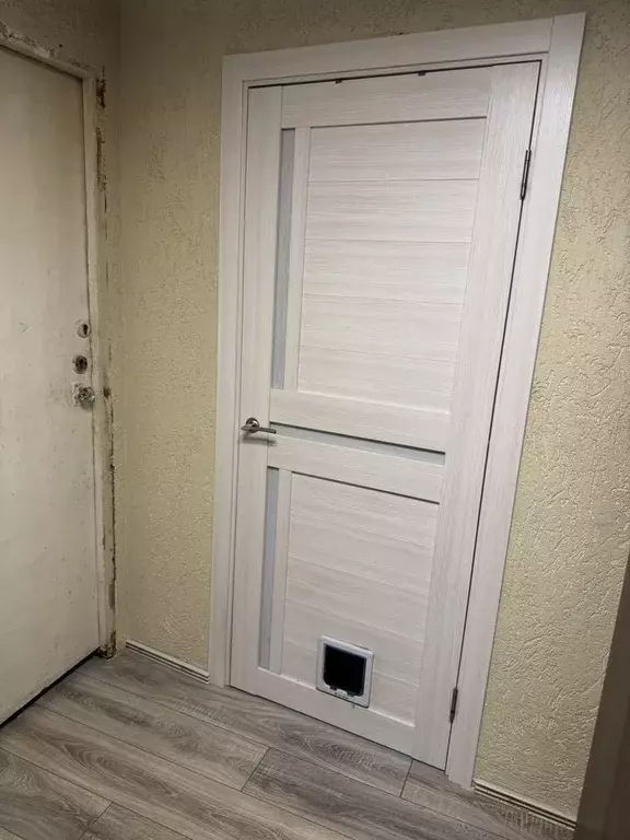 Комната Московская область, Балашиха ул. Фадеева, 5 - Фото 2