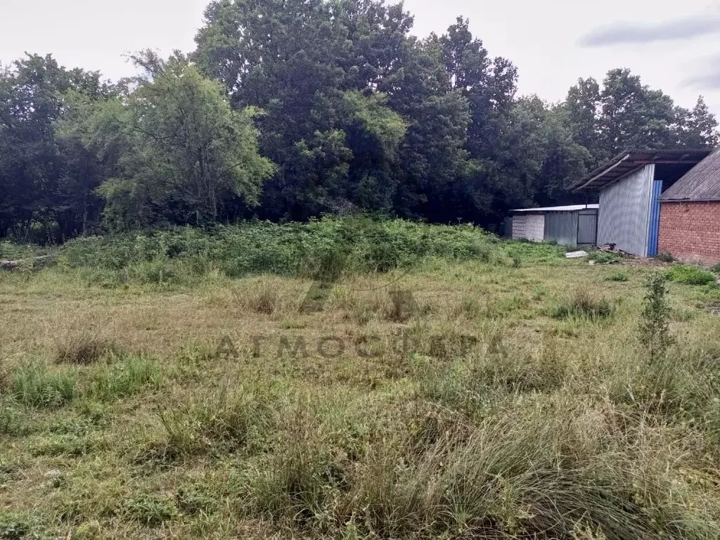 Участок в Краснодарский край, Апшеронское городское поселение, Зазулин ... - Фото 2