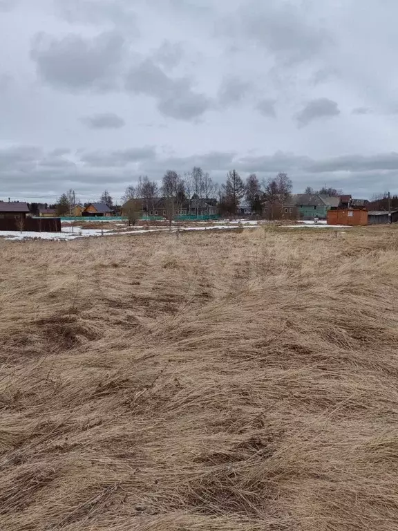 Участок 16 сот. (ИЖС) - Фото 1