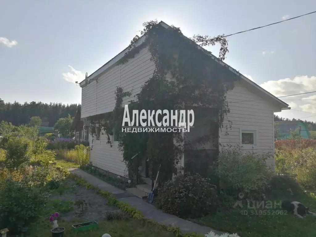 Участок в Ленинградская область, Приморск Ручеек СНТ,  (8.0 сот.) - Фото 1