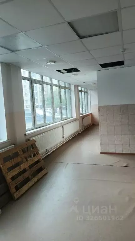 Помещение свободного назначения в Новосибирская область, Новосибирск ... - Фото 2