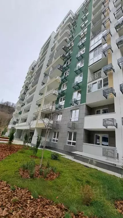 Студия Краснодарский край, Сочи ул. Искры, 66/9к1 (25.0 м) - Фото 1