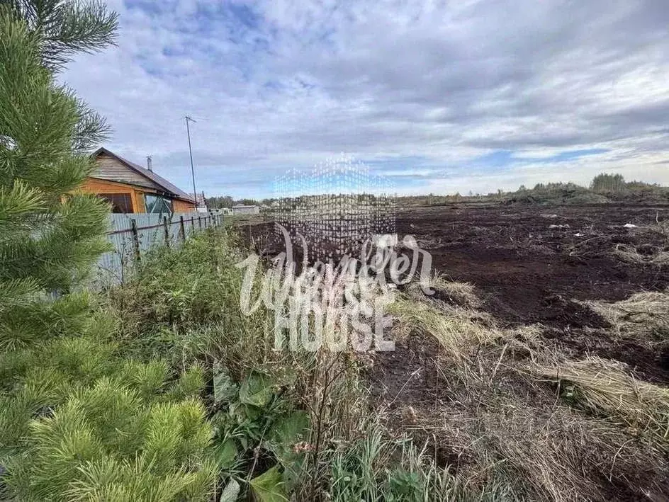Участок в Тюменская область, Тюмень Лаванда садовое товарищество, ул. ... - Фото 2