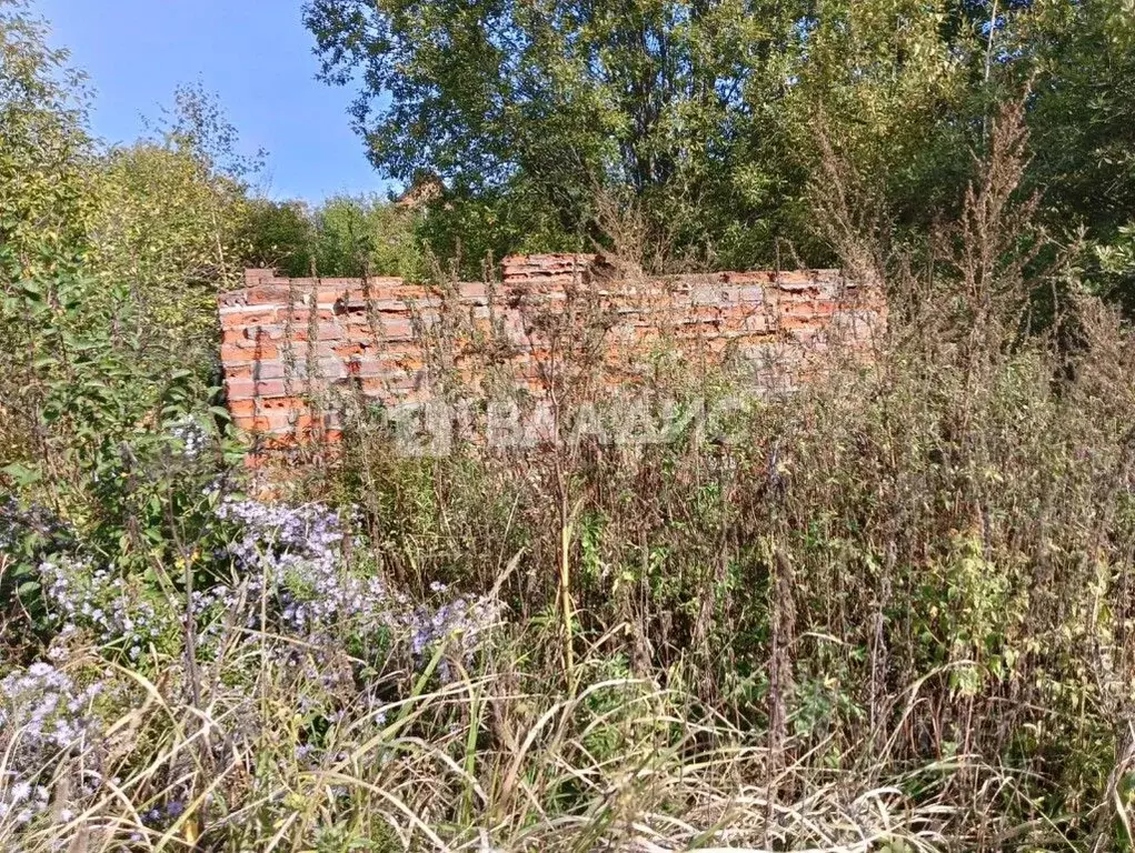 Участок в Владимирская область, Суздальский район, Новоалександровское ... - Фото 1