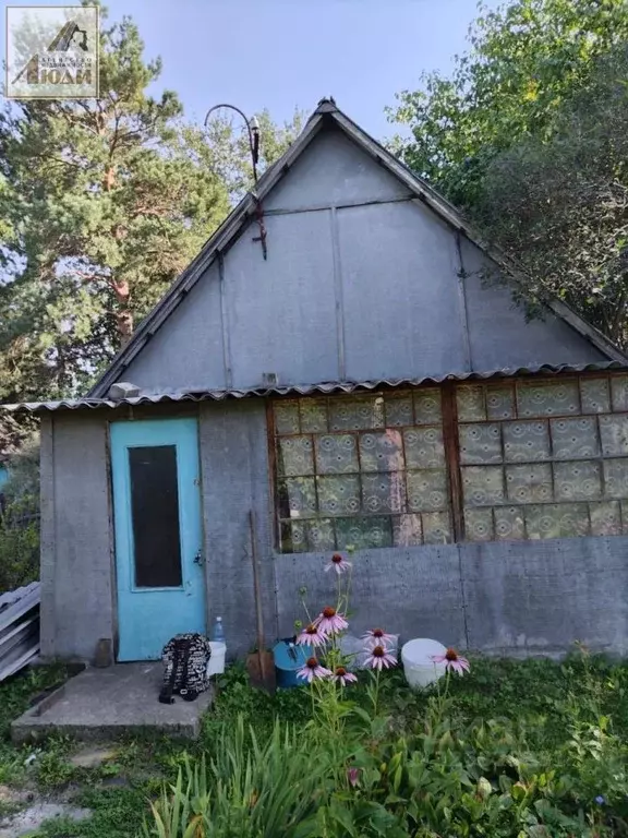 Дом в Новосибирская область, Новосибирск СНТ Весна Сибири тер., 63 (24 ... - Фото 2