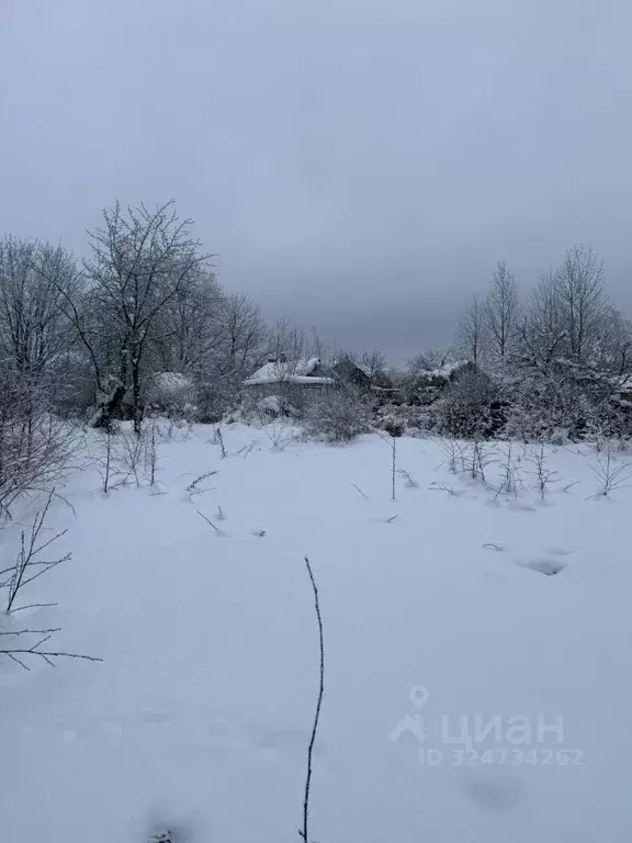 Участок в Ленинградская область, Всеволожский район, Колтушское ... - Фото 1