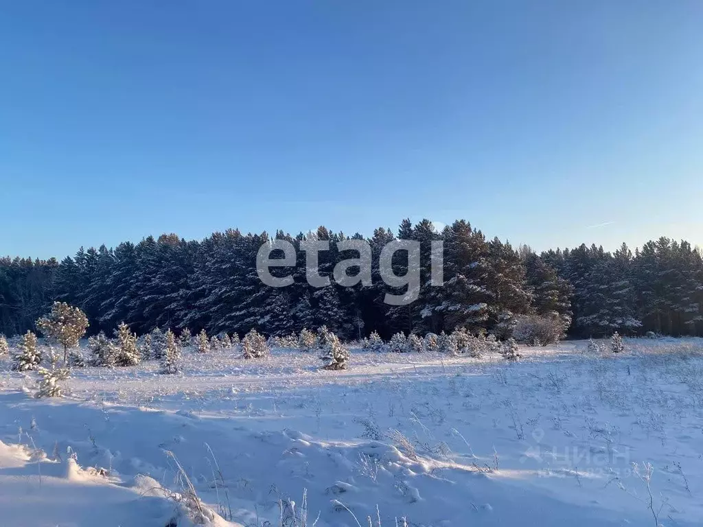 Участок в Красноярский край, Емельяново городское поселение, Гринбург ... - Фото 0