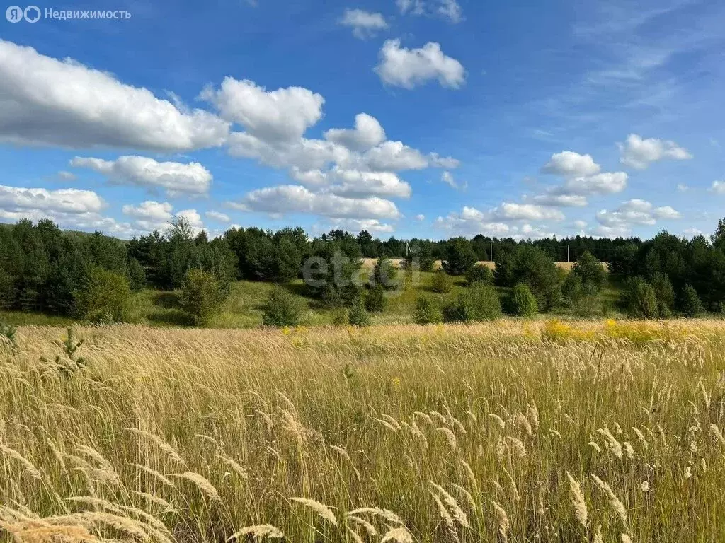 Участок в Нижегородская область, Дальнеконстантиновский муниципальный ... - Фото 0