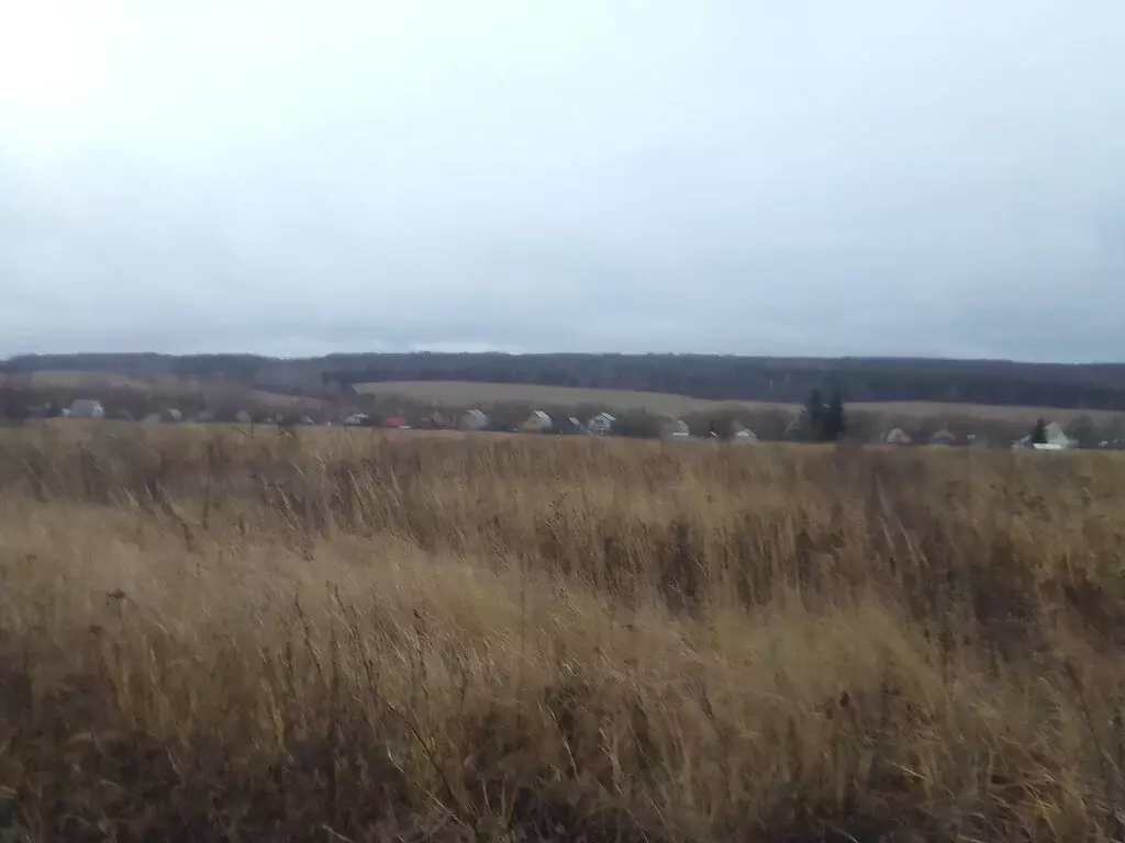 Участок в Пензенский район, Богословский сельсовет, СДТ Крутецкие Сады ... - Фото 1