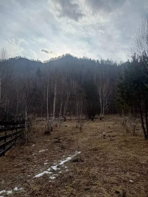 Участок в Алтай, Чемальский район, с. Чемал ул. Кольцевая (16.5 сот.) - Фото 2