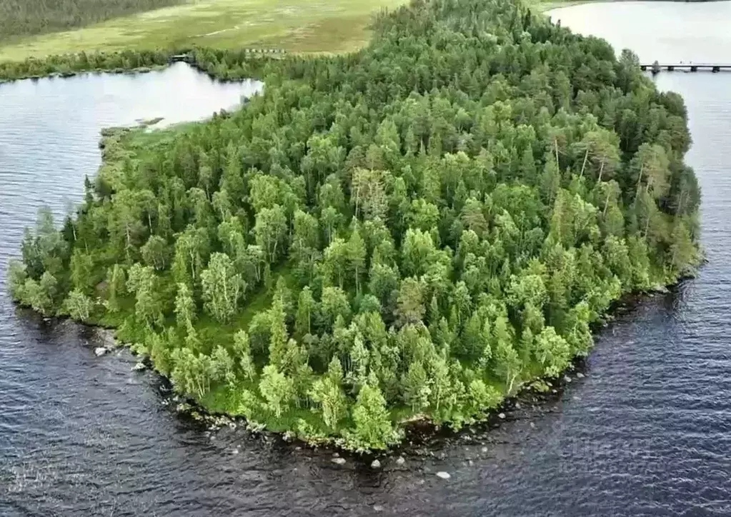 Участок в Мурманская область, Ковдорский муниципальный округ  (2.0 ... - Фото 1