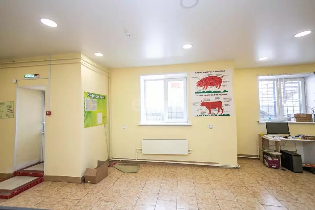 Офис в Новосибирская область, Искитим Южный мкр, 41Б (110 м) - Фото 2